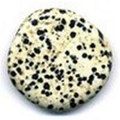 JASPE Dalmatien